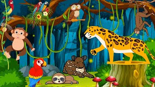 The Mystery of the Disappearing Rainforest kidseducation kidsstory shortvideo cartoonvideo [upl. by Auhoj]