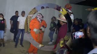 PELEAS DE TIGRE MAYO 2024 [upl. by Yecnuahc]