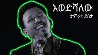 Tamrat desat  ewedshalew  ታምራት ደስታ  እወድሻለው  lyrics video [upl. by Robma]