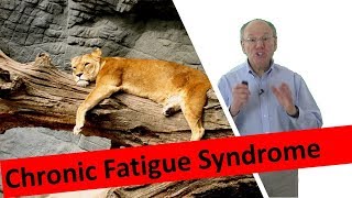 Chronic Fatigue Syndrome Recovery [upl. by Ardiedak]