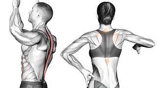 How To Improve Back Posture with Exercise [upl. by Notgnilliw]