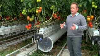 Greenhouse promo video for Nature Fresh Farms Leamington [upl. by Zora]