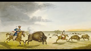 The Incredible History of the Métis Buffalo Hunters of Canada [upl. by Yentruok862]