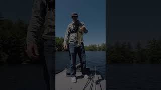 Spro 6quot Swimbait Catching Largemouth Bass in Shallow Water bassfishing [upl. by Yttig341]