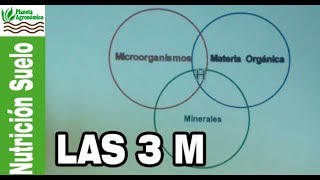 Las 3 M y la CROMATOGRAFÍA 🌱🦠 en papel horizontal [upl. by Misak]