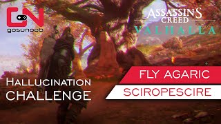 AC Valhalla Fly Agaric Hallucination Challenge  Fire Mushrooms Sciropescire Mystery [upl. by Anilam951]