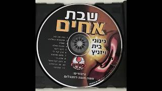 ניגון ריקוד  ויזניץ Vizhnitz  Niggen rikood  Dancing niggun [upl. by Brest23]