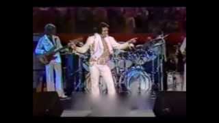 Elvis Presley quotif you love mequot live 1977 [upl. by Minton]