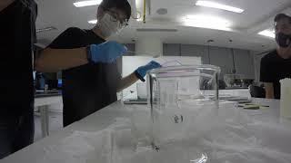 30316 Making Chitosan Solution Time Lapse [upl. by Ruomyes]