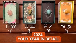 2024 Your Year in Detail ✨🎥 🎞 👀✨ ❷⓪❷❹ ✨ [upl. by Ezitram]