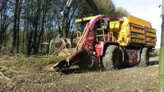 Forestry in Holland [upl. by Spielman]