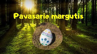 PAVASARIO MARGUTIS  VELYKŲ PASAKA 🐣🦊🌱 [upl. by Fritzie588]