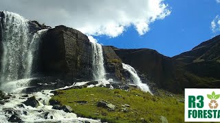 💧 REFORESTACIÓN Y RECARGA HÍDRICA EN JACHA APACHETA UNIENDO ESFUERZOS PARA SALVAR FUENTES DE AGUA 🏔️ [upl. by Hannad]