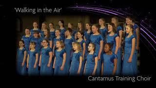 Walking in the Air performed by the Cantamus Training Choir [upl. by Adham]