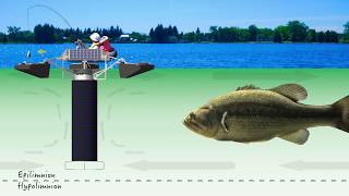 Part 2 Cyanobacteria BlueGreen Algae Control Mechanisms for Lakes amp Source Water Reservoirs [upl. by Bellis]