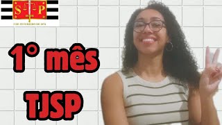 1° mês no TJSP  Como são os primeiros dias como escrevente  BRUNA ARAUJO [upl. by Zinnes]