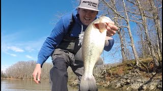 FLW BFL Tournament Watts Bar Lake Bass Fishing March 2 2019 [upl. by Thevenot]