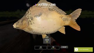 Russian Fishing 4｜The Amber Lake－Trophy Framesided Ghost Carp｜琥珀湖－73⭐️框形鏡鯉人面鯉2529kg [upl. by Reifinnej]