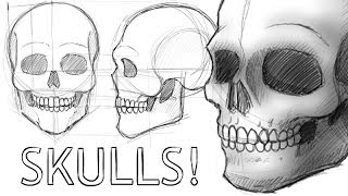 How to Draw Skulls [upl. by Aiva]