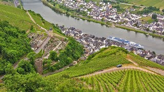 German Riesling Wine Journey [upl. by Enelaehs]