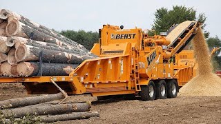 Dangerous Fastest Wood Chipper Machines in Action Powerful Tree Shredder Working and Woodworking [upl. by Nnylyak]