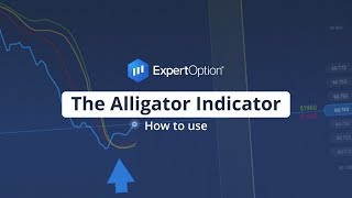 Alligator Indicator  Trading Education  ExpertOption® [upl. by Anitahs]