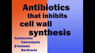 Mechanism of action of Penicillin Cephalosporin Vancomycin Cycloserine Bacitracin beta lactam [upl. by Bannasch]