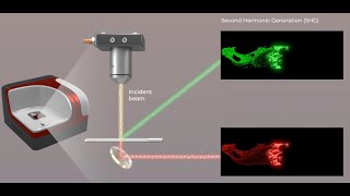 Discover How AI Transforms Pathology with SHG Imaging  3D Animation [upl. by Helse]