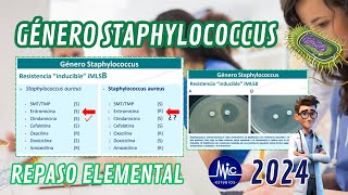 RM 24 Antimicrobianos Género Sthaphylococcus Repaso elemental Est MyC [upl. by Wylde623]