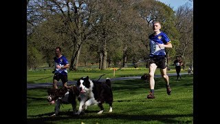 CaniX at Glamis Castle 2018 [upl. by Ocsinarf]