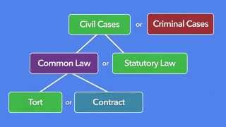 Episode 11 What is Torts And what Torts is not [upl. by Schild]