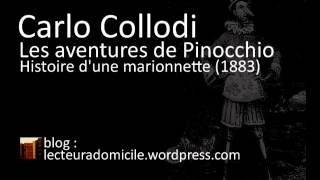 Les aventures de Pinocchio  Carlo Collodi  25 [upl. by Ikciv524]