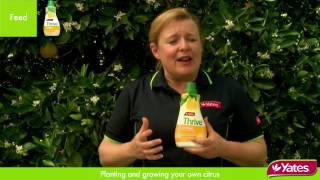 How to feed citrus plants in a garden with Angie Thomas [upl. by Andert960]