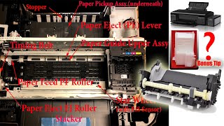 Epson L805 paper pickup problem  epson l805 pickup roller  Epson l805 paper tray repair  Ink pad [upl. by Dnarb146]