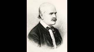 The Semmelweis Effect [upl. by Veneaux]