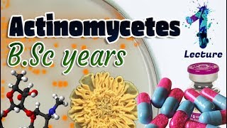 Actinomycetes  Characteristics  Importances  Identification BSc 3st year 🧫💊🔬 [upl. by Annohsed728]