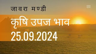 अवकाश हेतु सूचना एवं 25092024 jaora Mandi Bhav mandi mandibhav mandibhavtoday [upl. by Ardet]