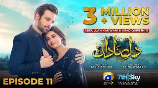 DileNadan Episode 11  Eng Sub  Mikaal Zulfiqar  Amar Khan  Ali Abbas  17th September 2024 [upl. by Ylrebmic]