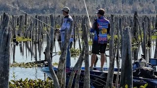 Bass Fishing a DRAINED LAKE  Rodman Reservoir  SMC Episode 1213 [upl. by Dermot]