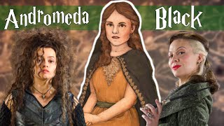 The Life of Andromeda Black Bellatrix and Narcissas Sister  Harry Potter Explained [upl. by Arytal490]