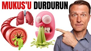 Boğazınızda Sürekli Balgam Mukus Olmasının Nedenleri  DrBerg Türkçe [upl. by Geof325]