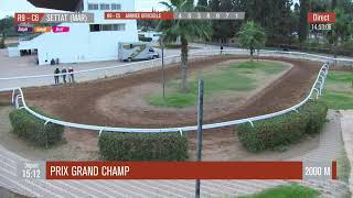 Live Hippodrome « SETTAT »  Courses du « 12102024 » [upl. by Rodman]