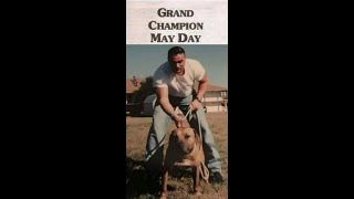 Victor Aycart  Article on Grand Champion Mayday [upl. by Edmunda99]