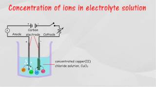 Electrolysis of Aqueous Solutions [upl. by Ardiedal654]