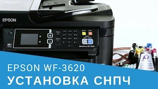 Установка СНПЧ на МФУ Epson WorkForce WF3620 [upl. by Branch]