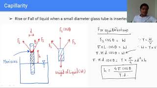 CapillarityCapillary Rise amp Fall [upl. by Kilroy128]
