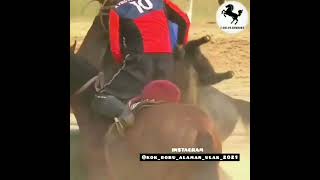 Манас Ниязов 🦅 БОЙКА 🏇 kyrgyzstan funny [upl. by Erdne111]