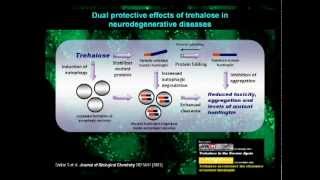 Biochemical Society Early Career Research Award Lecture by Sovan Sarkar [upl. by Aerdma479]