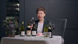 詩詩酒樂園 CC Wine Voyage  Rhone Valley Wines 隆河谷酒區分享 [upl. by Ineslta]