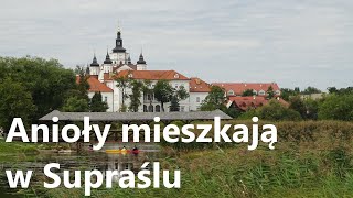 Nieziemski szlak na urlop [upl. by Herold933]